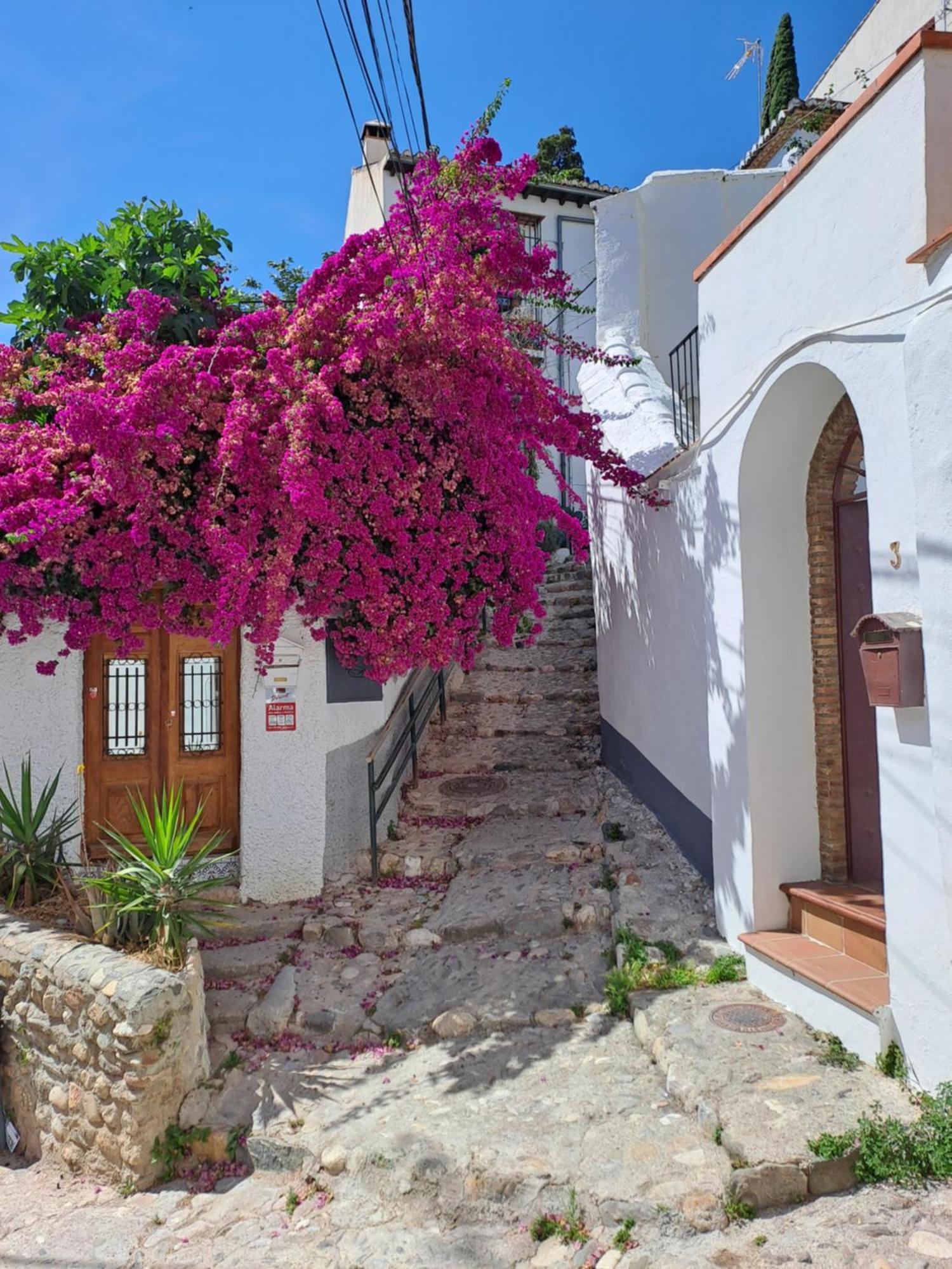 Ferienwohnung Casa Alhambra - Centro Historico Con Jardin Privado Granada Exterior foto